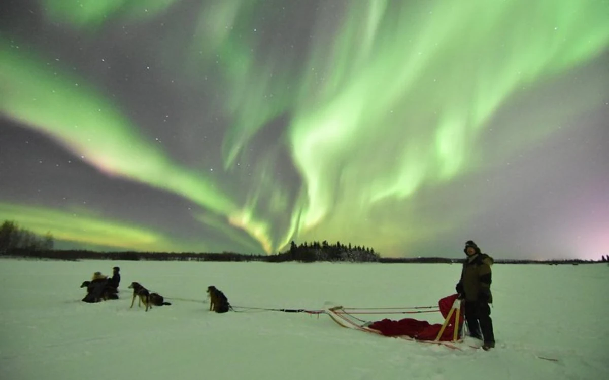 A dog team and musher on a snowy trail at night with a green glow in the sky above