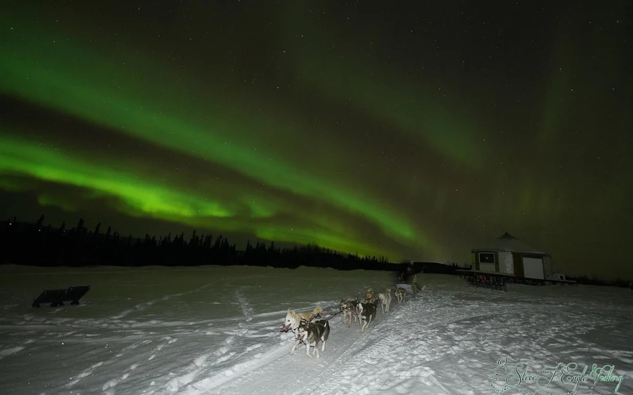 A dog team running on snow at night under a green aurora with a lit yurt behind